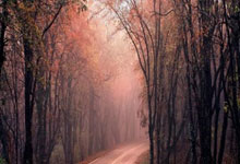 尼斯主场逆转胜波尔多，排名不断攀升