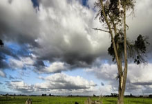 梅斯面对南特，实力对比明显