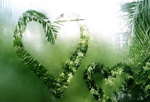 法国险胜英格兰：艰难拼搏晋级下一轮