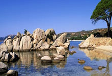 爵士队主帅斯奈德对球员态度不满，球队遭连败：裂痕、反思与重生的可能