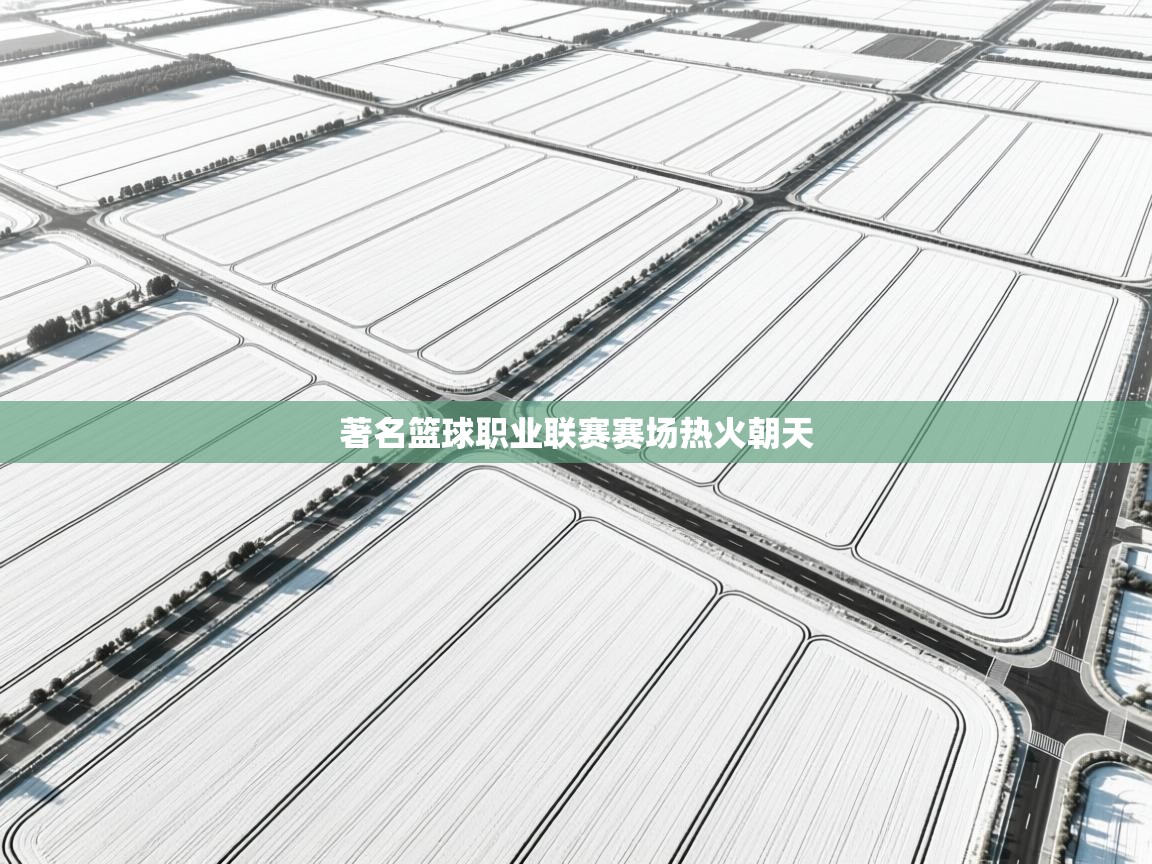 著名篮球职业联赛赛场热火朝天  第2张